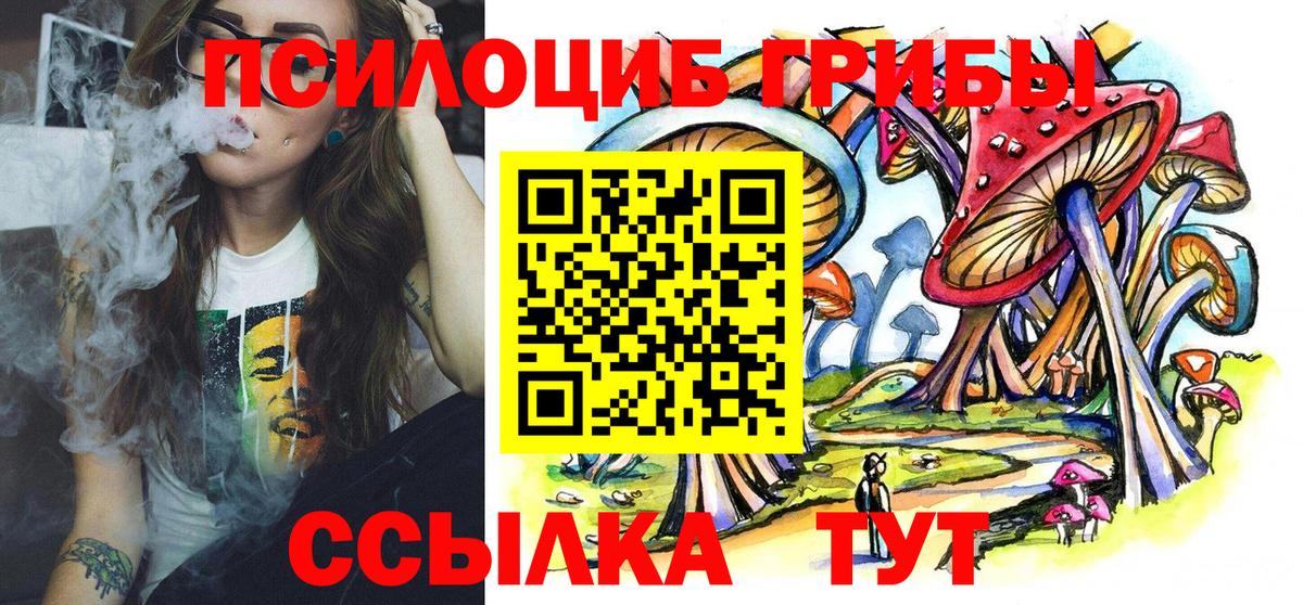 Псилоцибиновые грибы прущие грибы  купить наркотики цена  Галлюциногенные грибы прущие грибы  Выкса  Вход с VPN 